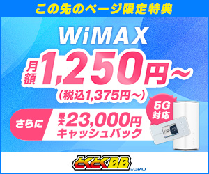 wimax 5g
