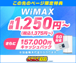 wimax 5g