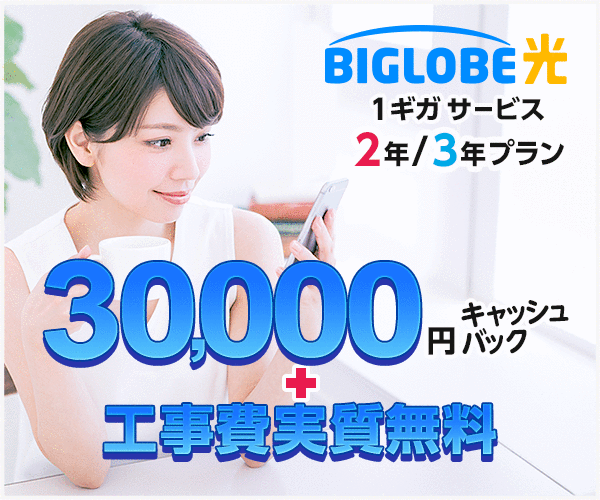 ビッグローブ光のipv6オプションは速度が遅い 対応したルーターや設定方法を丸っと解説 やさしい光回線