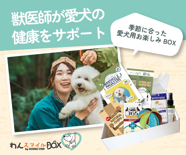 KOINU STEP（こいぬすてっぷ） WAN Smile BOX【定期購入】