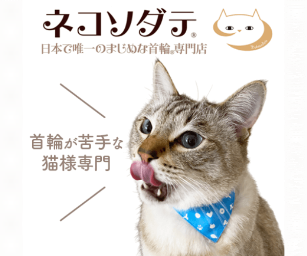 猫様用首輪専門店【ネコソダテ】